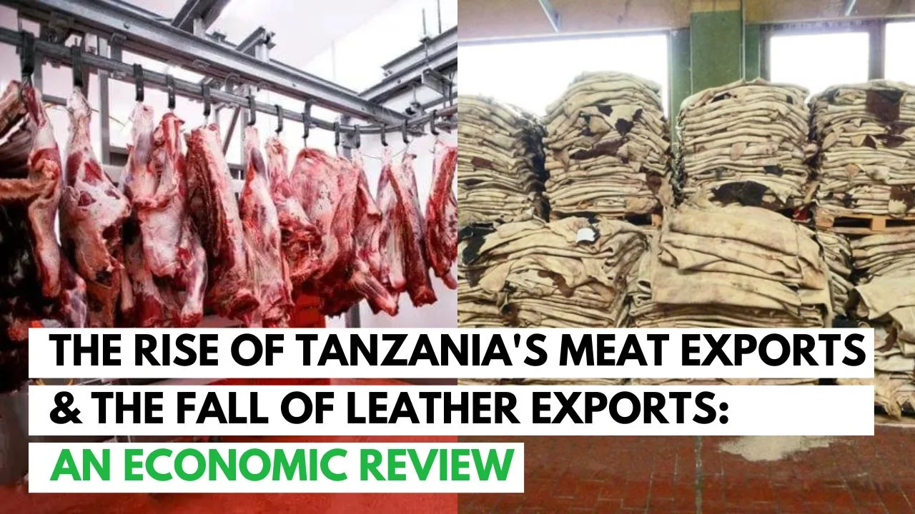 The Rise of Tanzania’s Meat Exports & the Fall of Leather Exports: An Economic Review